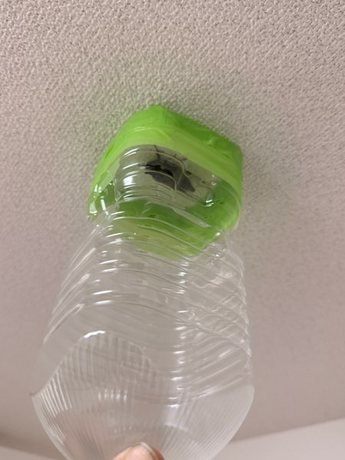 26082701_nishiyodogawa_cicada_capture-tool03-display.jpg