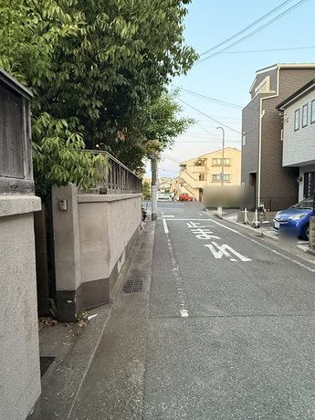 suma-overgrown-tree-road-clear-after06-display.jpg